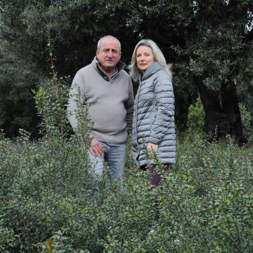 Domaine AMUREDDA