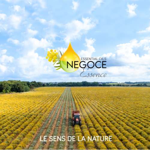 NEGOCE ESSENCE